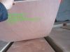 wood veneer  plywood door