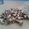 iso7380 pure titnaium screw