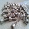 iso7380 pure titnaium screw