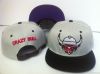 Free Shipping Wholesale 2013 New Arrival Snapback Baseball Cap Hat
