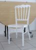 Castle chairs manufacturers Styling napoleon chair  YF205