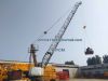 OEM QD3023 Derrick Crane 30M Luffing Boom 8t Load CIF Cambodia