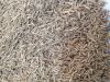 Cumin seed