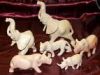 Animals made from soap...