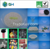 GH501 Sheet PLA Resin (PLA pellet/ PLA granules/ PLA plastic/ PLA plastic pellets)