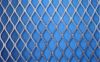 stainless plate mesh