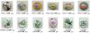 porcelain cab beads