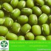 Green Mung Beans, 2.8mm+