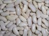 white kidney beans