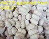 2010 new fresh garlic ...