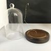 Borosilicate glass bell jar with wooden base