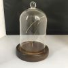 Borosilicate glass bell jar with wooden base