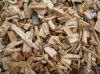 Woodchips  for pulp an...
