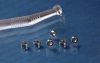 Dental Bearing
