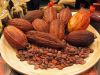 COCOA BEANS