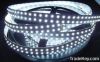 3528 Double-row LED strip 240LED/M