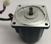 60W induction motor 