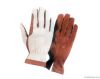 Horse Riding Gloves