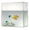 acrylic fish tank, fis...