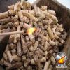 Wood pellet