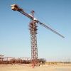 SupplyQTZ31.5 series construction tower crane with Working range 42m