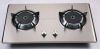 Built-in 2 burner gas ...