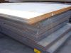 Steel Plate (Hot Rolled)