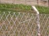 wire  mesh  fencing