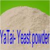Yeast feed