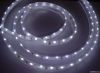 Flexible LED Strips 020 120 leds per meter