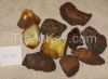 Highest grade natural Ukrainian amber, different grades available