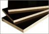 Shuttering Plywood