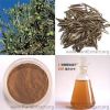 Olive Leaf Extract