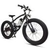 26&quot; Electric bicycle with 2 fat tires
