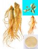 Ginseng Root Extract-Ginsenosides