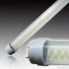 T8 LED tube