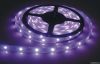 LED Strip Lights