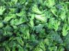 2013 New Crop Frozen Broccoli