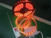 5050 300leds rgb led strip light, Holiday lighting