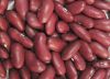 Dark Red Kidney Beans(...