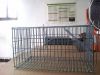 live animal trap cage