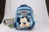 customized school bags/hiking backpack