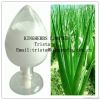 Aloe Vera gel extract