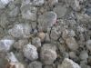 kaolin ore and silica ...