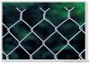 Wire Mesh Fence