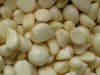 garlic cloves