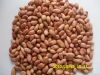 peanut kernels size 24/28