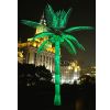 Coconut tree light