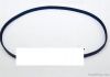 belt(2 height)