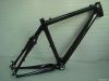 Carbon MTB frame